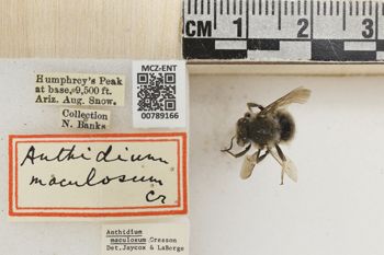 Media type: image;   Entomology 789166 Aspect: Labels